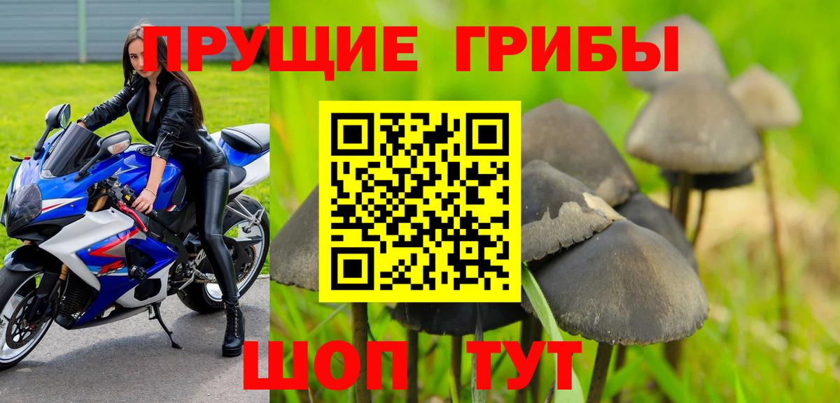 как найти наркотики  Галлюциногенные грибы MAGIC MUSHROOMS  Вход с VPN  Костомукша 