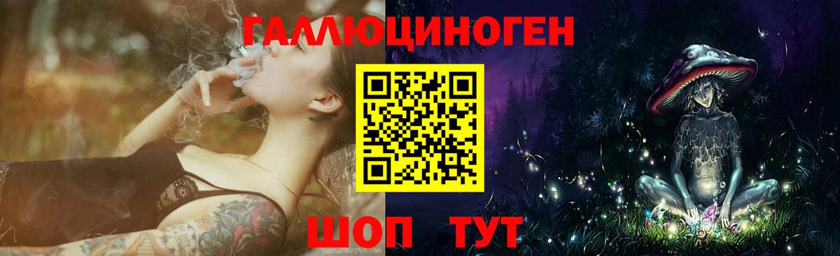 Псилоцибиновые грибы Psilocybe Костомукша